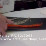 20081216179