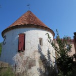 IMG_9931