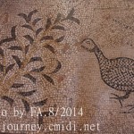 IMG_2251