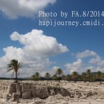 IMG_2415