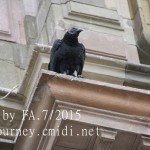 IMG_0052
