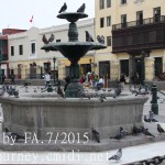 IMG_0108