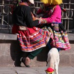 IMG_0612