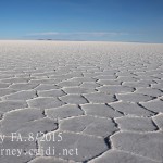 IMG_1204