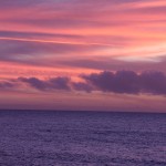 IMG_2055
