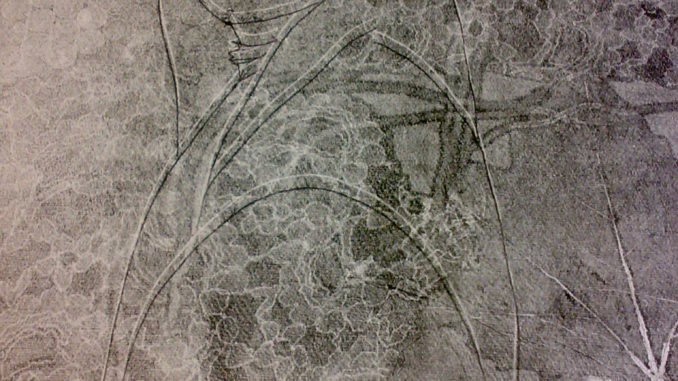 20081216185