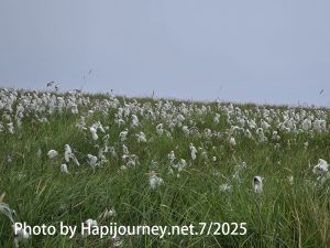 20250723 122601