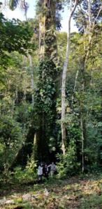 IMG-20190727-WA0044