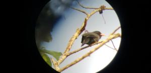 IMG-20190729-WA0050
