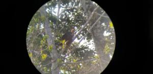 IMG-20190729-WA0053