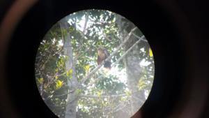 IMG-20190730-WA0043