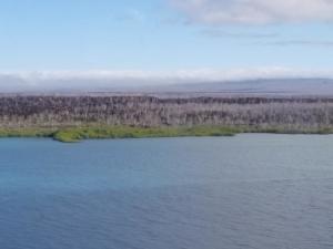 IMG-20190805-WA0058