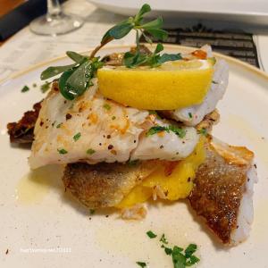 IMG-20230729-WA0001-1