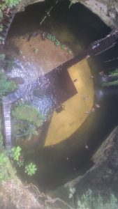 IMG-20240805-0019