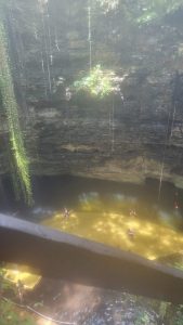IMG-20240805-0021