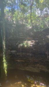 IMG-20240805-0029