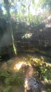 IMG-20240805-0031