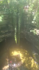 IMG-20240805-0035