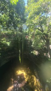 IMG-20240805-0037
