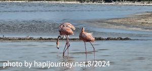 IMG-20240807-WA0164n
