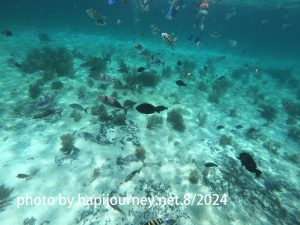IMG-20240811-WA0067-n
