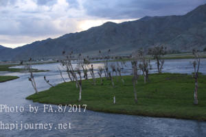 IMG 0017