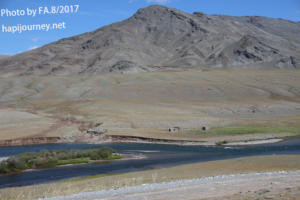 IMG 0031
