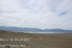 IMG 0041
