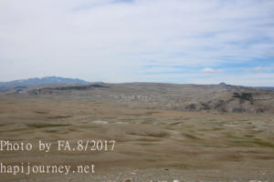 IMG 0043