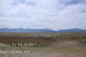 IMG 0050