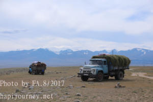 IMG 0054