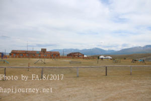 IMG 0056
