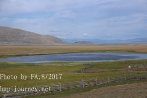 IMG 0088