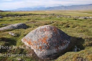 IMG 0095