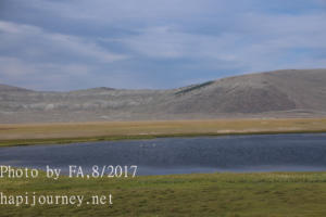 IMG 0097