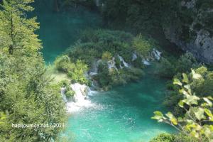 IMG 0102 (1)