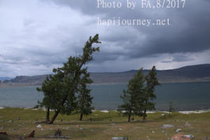 IMG 0105