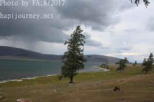 IMG 0108