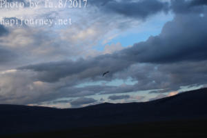 IMG 0120