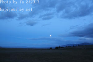 IMG 0124