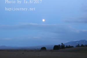 IMG 0126