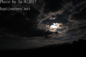 IMG 0138
