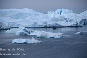 IMG 0253
