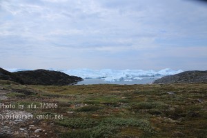 IMG 0254