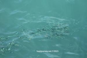 IMG 0280 (1) (1)