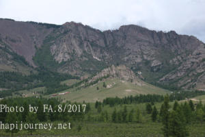 IMG 0371