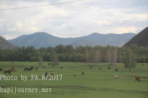 IMG 0432