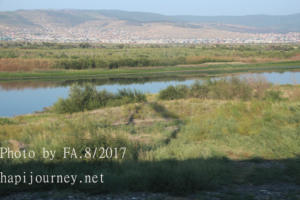 IMG 0436