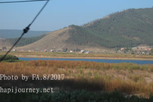 IMG 0443