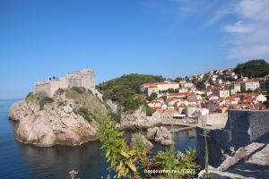 IMG 0564 (1)